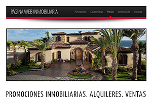 Página Web Inmobiliaria. Páginas Web Castellón